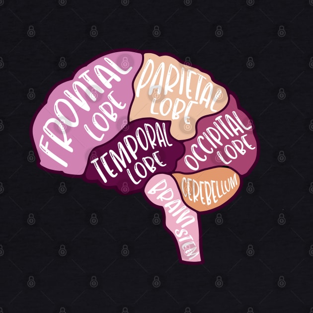 Human brain - anatomy of the brain by Dr.Bear